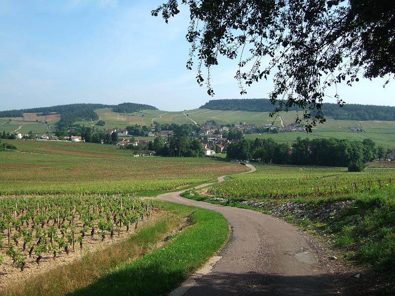 2010-05- (2).JPG - ... mit Blick auf Mercurey
